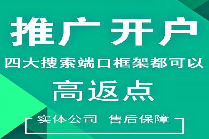 案例分析：SEM竞价代运营实现盈利增长